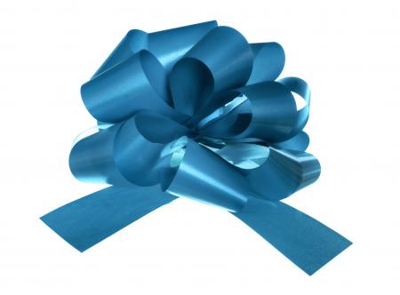 blue bow