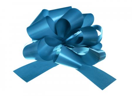 Blue Bow