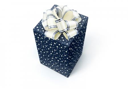 Blue Gift with Ribbon
