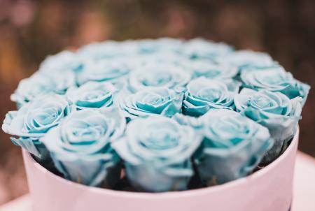 Blue Rose Bouquet Collections
