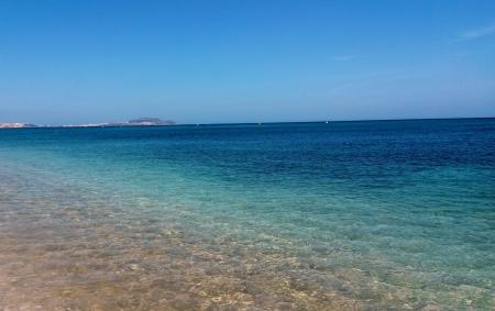 Blue Seashore Beach at Daylight Photography