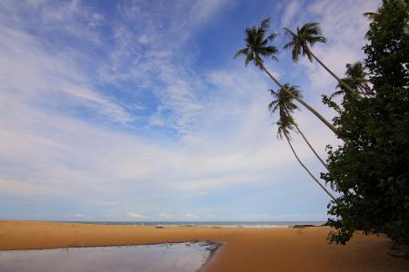 Blue Sky Above Beach during Daytime