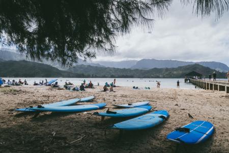 Blue Surfboards on Shore