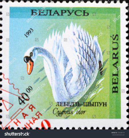 Green Swan Stamp