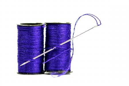 Blue Thread and Needle