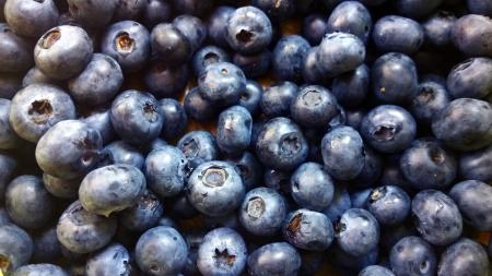 Blueberry Lot