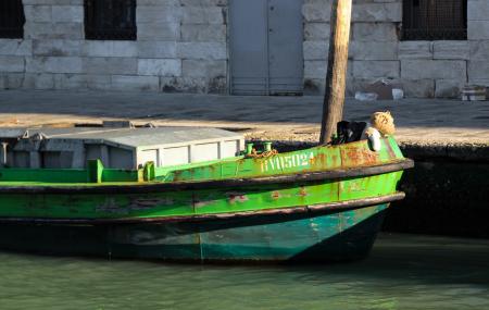 Boat on the Port