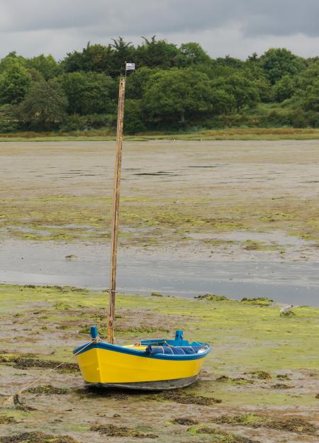 Boat on the Shore