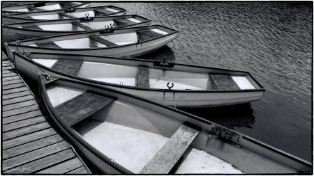 Boats for hire, Versailles