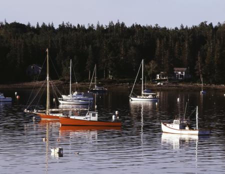 Boats in the River