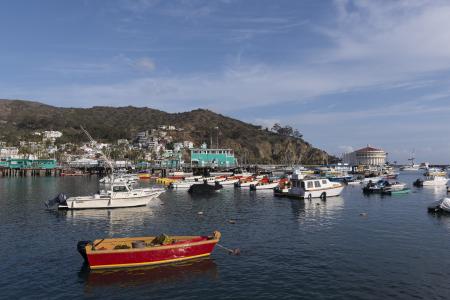 Boats in the Sea