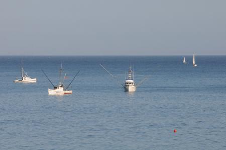 Boats on sea near shore