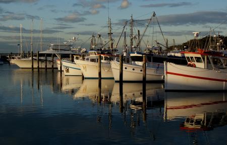 Boats on the Port