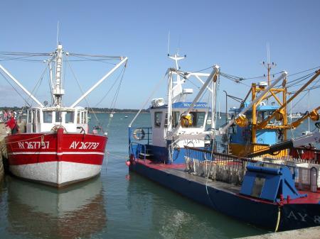 Boats on the Port