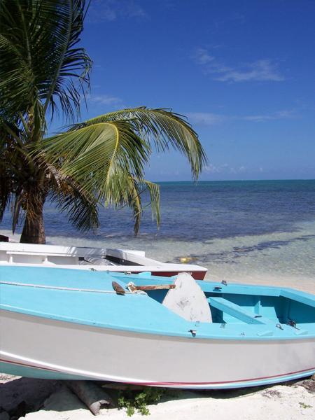 Boats on the shore