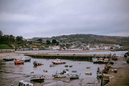 Boats on Water Near Concrete Bridge