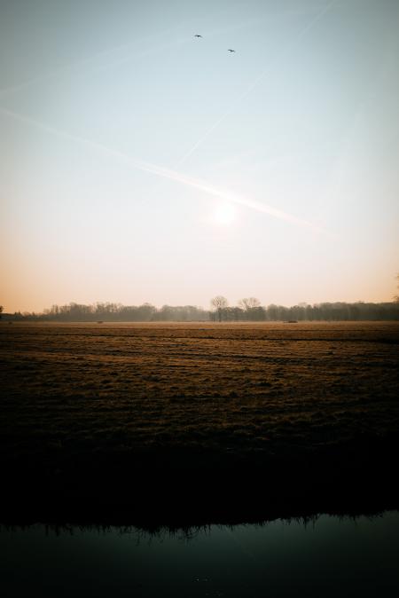 Body of Water Beside Brown Grass during Sun Set