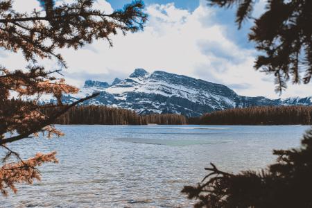 Body of Water Beside Brown Trees Near Mountain