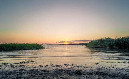 Body of Water Green Plants during Sunrise