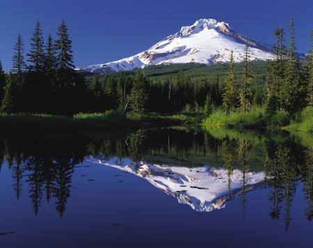 Body of Water Near Mountain Slope and Green Trees and Grass during Daytime