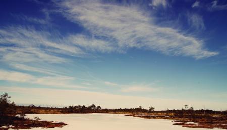 Body of Water Near Trees Under Blue and White Skies