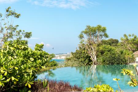 Body of Water Near Trees Under Blue Sky at Daytime