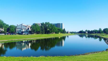 Body of Water Surrounded by Grass Near Buildings