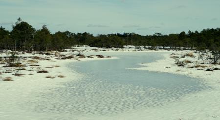 Body of Water Under Cloudy Sky