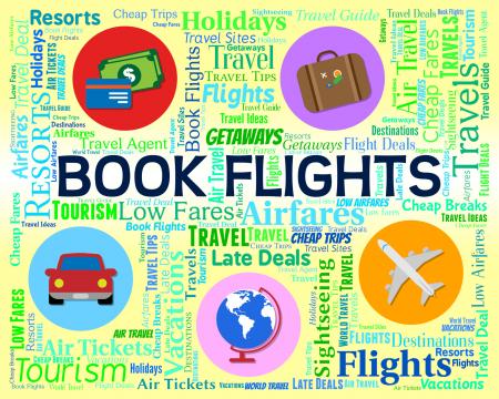 Book Flights Shows Ordered Airplane And Reservations