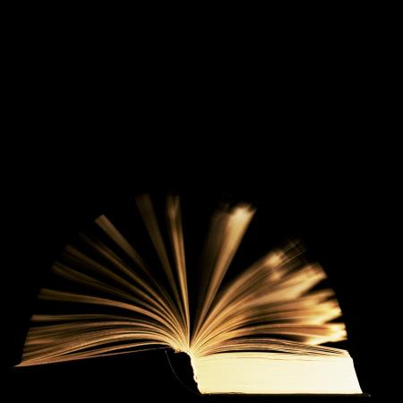 Book with flying pages