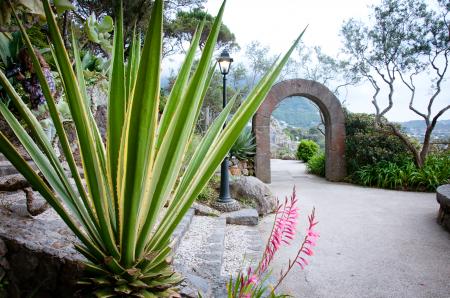 botanical garden La Mortella, Ischia isl