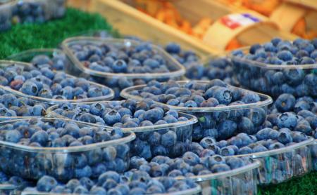 Boxes of Blueberries