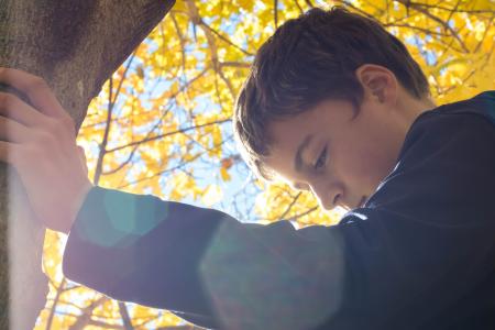 Boy Holding Tree Trunk Looking Down