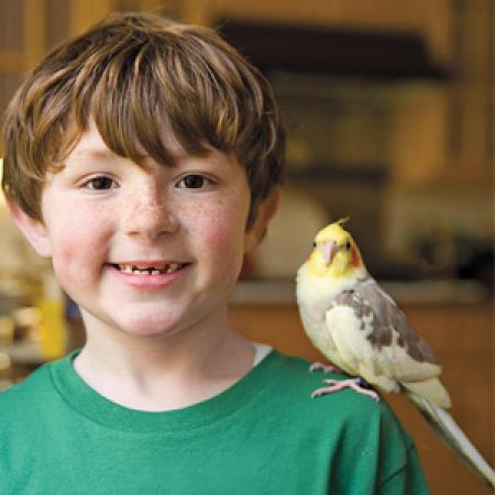 Boy with Bird