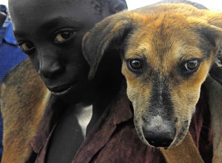 Boy with the Dog