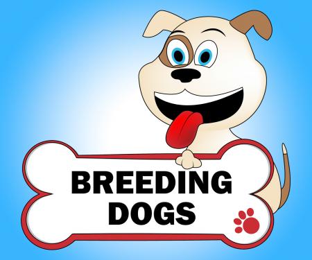 Breeding Dogs Represents Mating Doggy And Doggie