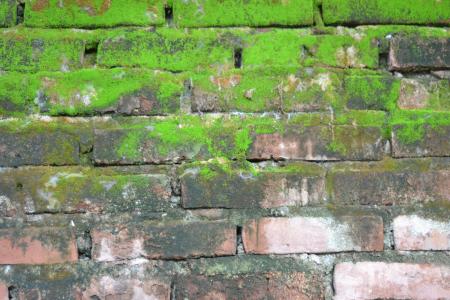 Brick and moss wall texture