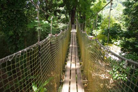 Bridge in martinique