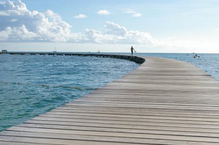 Bridge in martinique