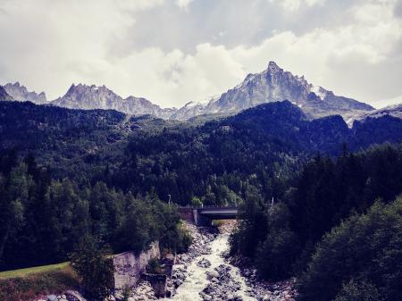 Bridge Near Trees and Mountain Landscape Photo