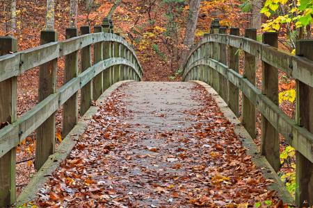 Bridge to Fall - HDR