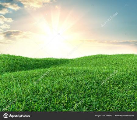 Bright Grass Field