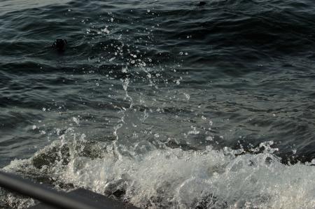 Broken Wave, Bregenz, Austria