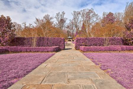 Brookside Gardens Path - Ultra Violet HD