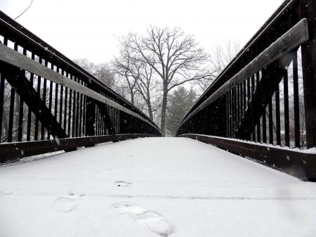 Brookside Winter Bridge