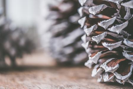 Brown and Gray Decorative Pine Cone