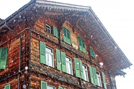 Brown and Green Wooden House