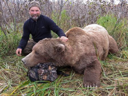 Brown Bears Hunting