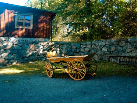 Brown Carriage on Green Grass Lawn