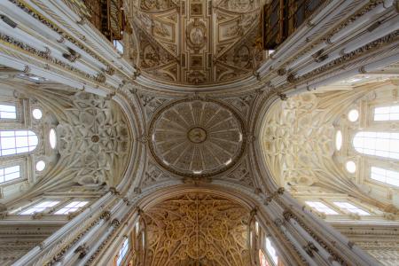 Brown Ceiling Ornate Painting